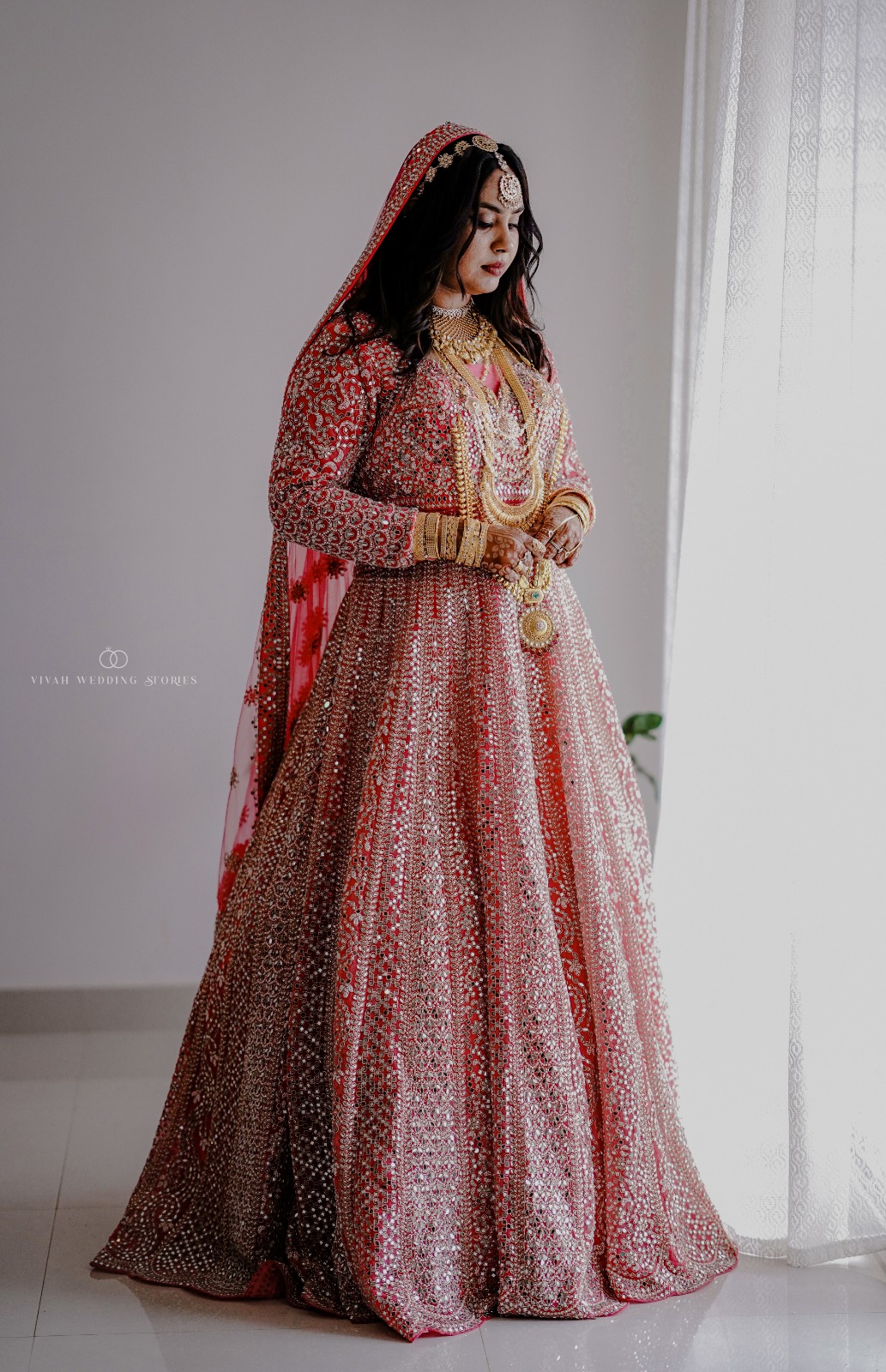 a forest after an apocalypse